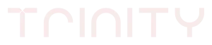 Portal Trinity